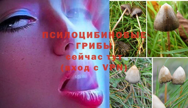 гидропоника Арсеньев