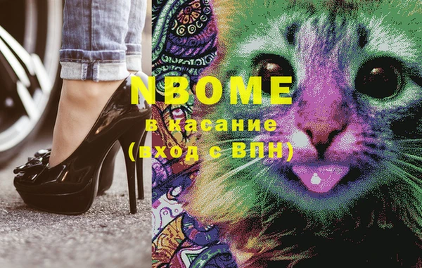 прущие грибы Баксан
