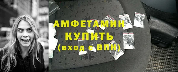 прущие грибы Баксан