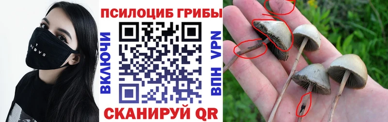 Псилоцибиновые грибы MAGIC MUSHROOMS  Нурлат 